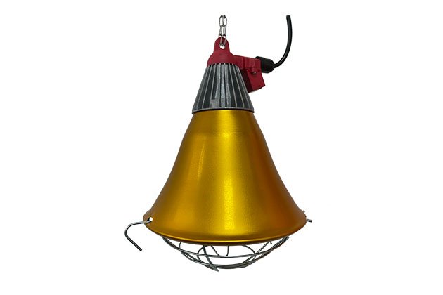 Heating lamp/cover