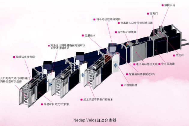 睿保乐精喂系统-分离饲喂站